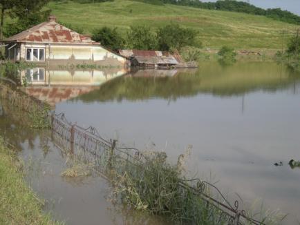 Angajaţii Prefecturii sponsorizează vacanţa a 100 de copii din zonele inundate 